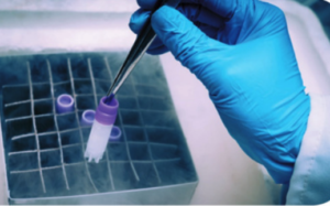 Conservazione campioni e vaccini ultracongelatori Geass Torino