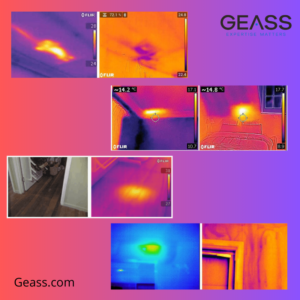 Individuazione di fonti di calore appartenenti a diverse tipologie di parassiti