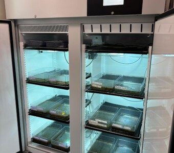 Fitoclima 1200P stabilità per cicli naturali animali