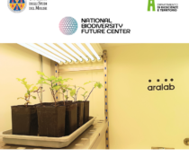 Camera Climatica Walk In Aralab crescita delle piante