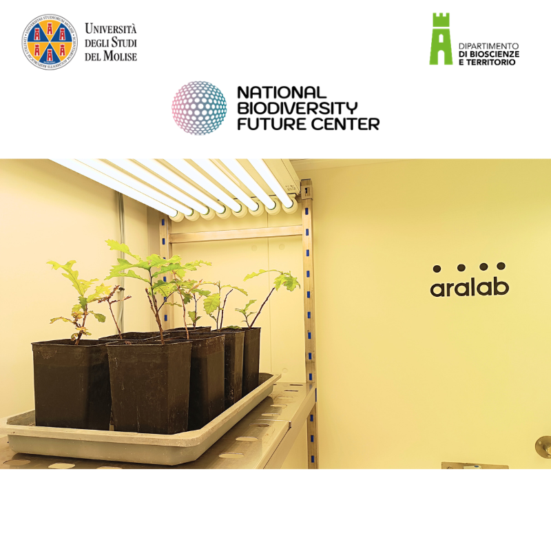 Camera Climatica Walk In Aralab crescita delle piante